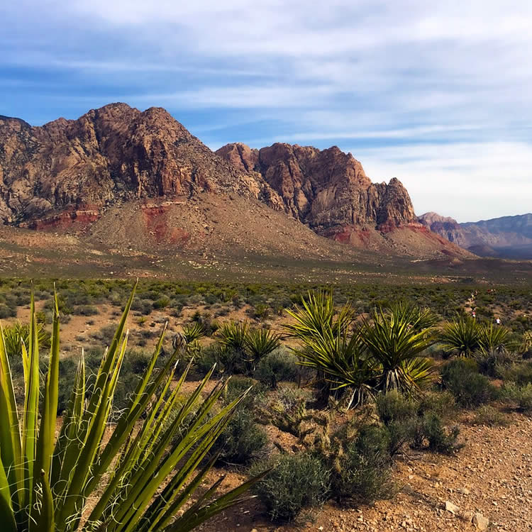 Red Rock Canyon Suv Tour From Las Vegas