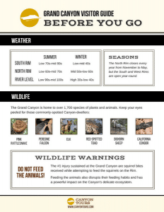 printable grand canyon facts to know before you go weather wildlife