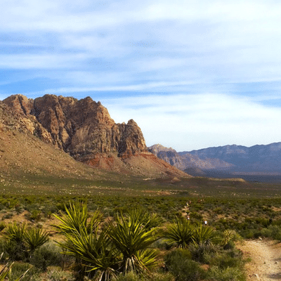 5 reasons to visit red rock canyon