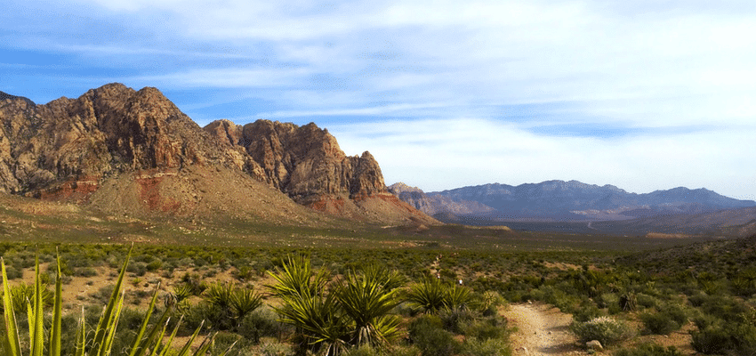 5 reasons to visit red rock canyon