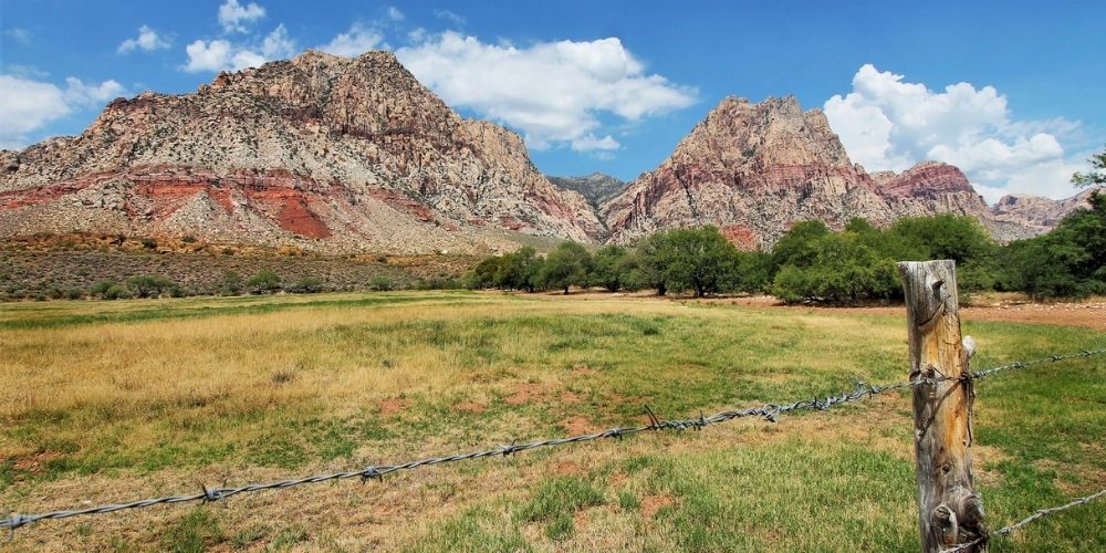 spring mountain ranch state park