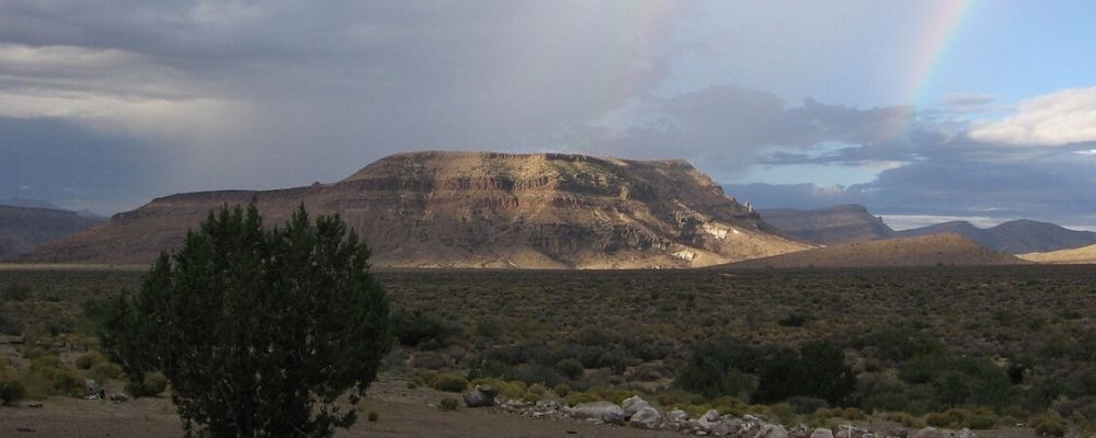 Mojave National Preserve Easy Day Trips from Las Vegas