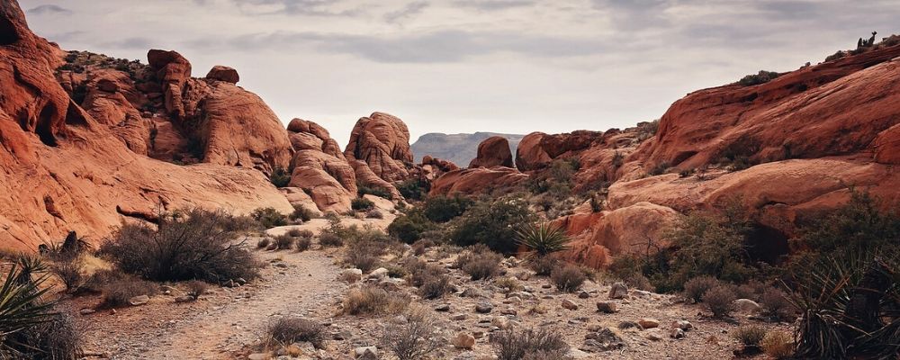 Red Rock Canyon Easy Day Trips from Las Vegas