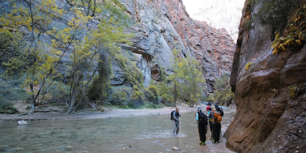 the narrows zion national park